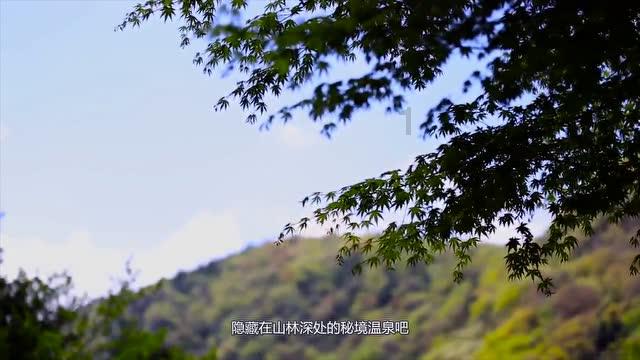 灵山奇缘
