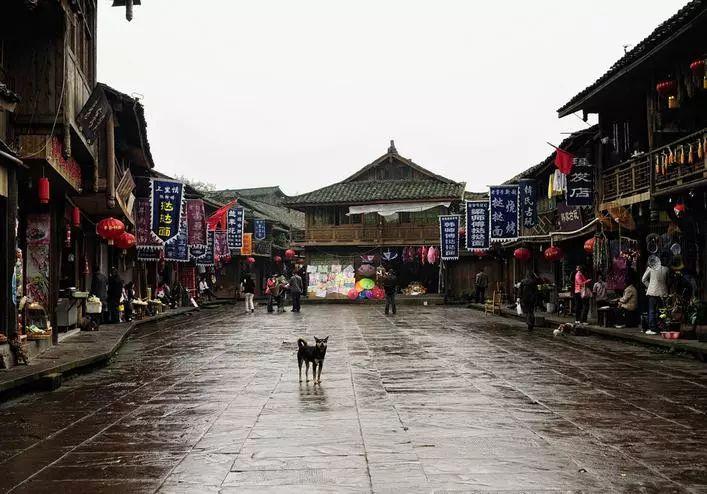 张爱玲去世后，为何把270万遗产给朋友，也不给住破屋的亲弟弟？